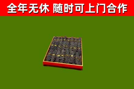 金溪县回收海参